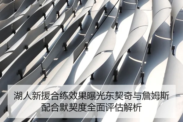 湖人新援合练效果曝光东契奇与詹姆斯配合默契度全面评估解析