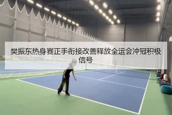 樊振东热身赛正手衔接改善释放全运会冲冠积极信号