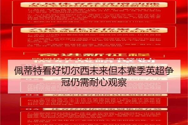 佩蒂特看好切尔西未来但本赛季英超争冠仍需耐心观察